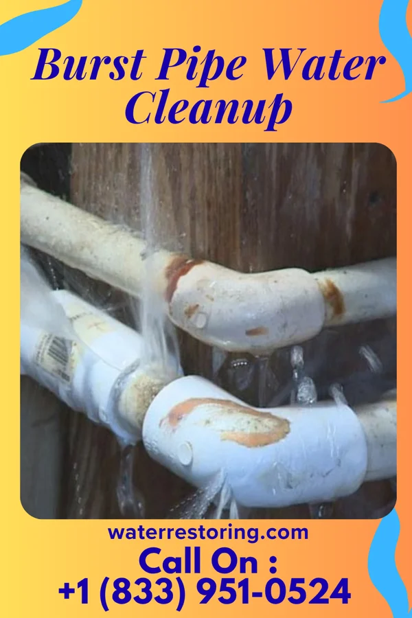 Burst Pipe Water Cleanup in Lincoln, VT