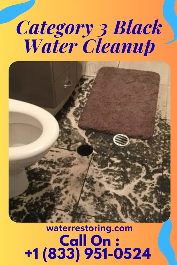 Category 3 Black Water Cleanup in Lincoln, VT