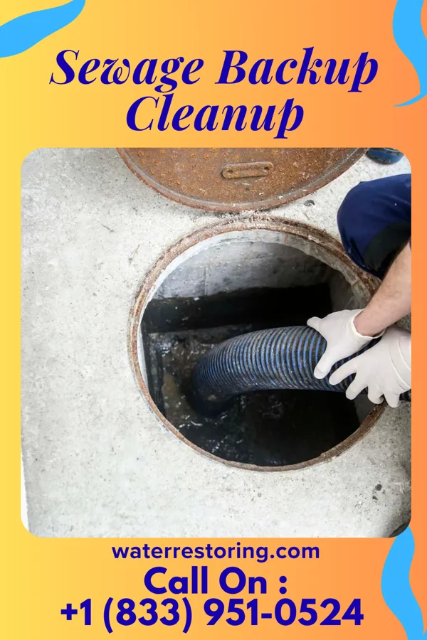 Sewage Backup Cleanup in Lincoln, VT