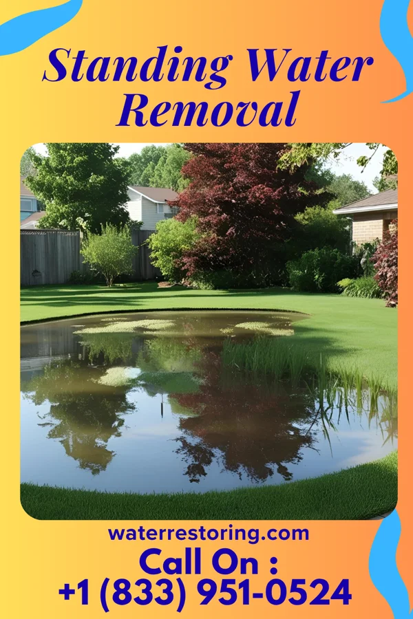 Standing Water Removal in Lincoln, VT